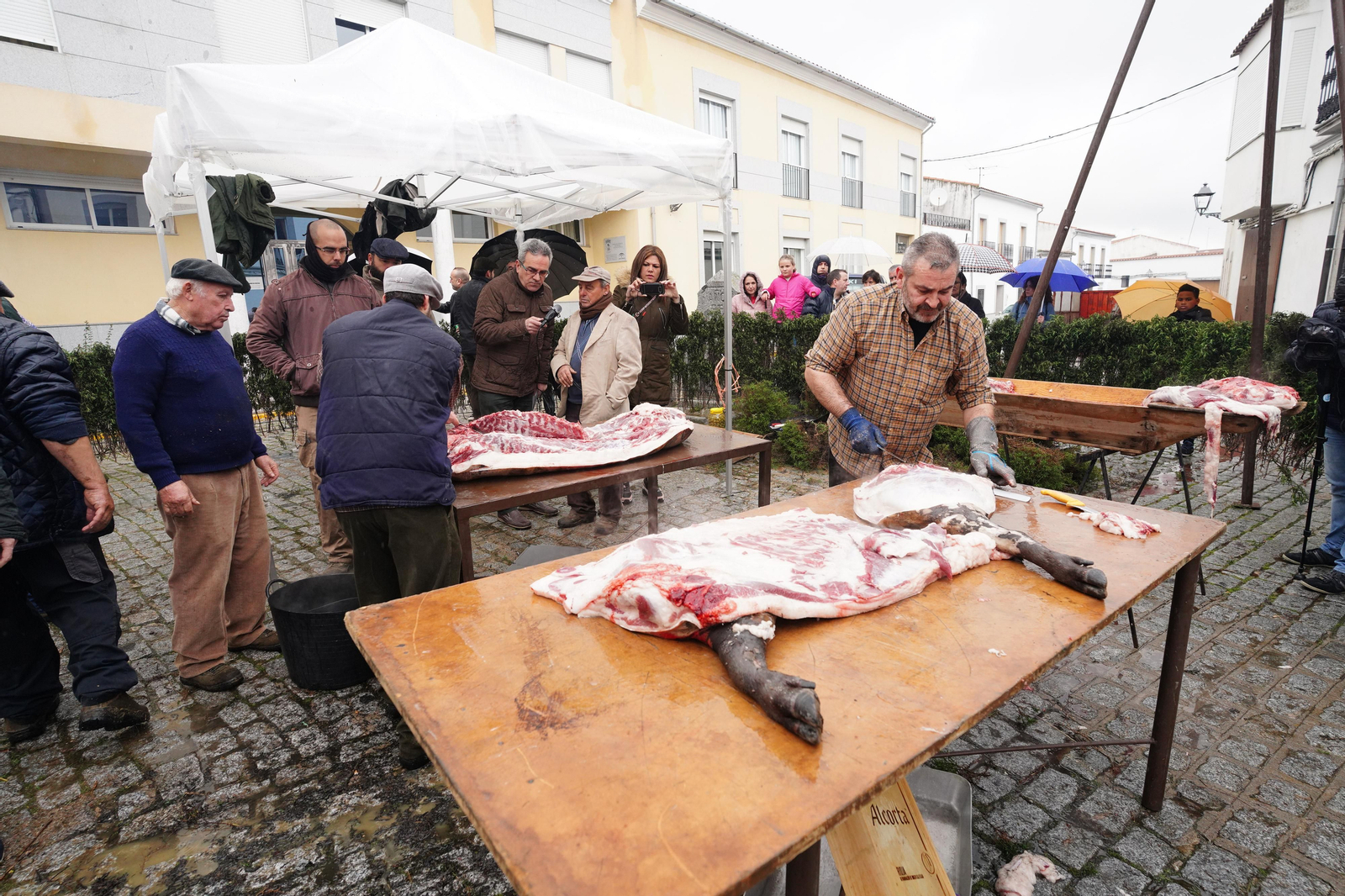 La Fiesta de la Matanza de Alcaracejos, en imágenes