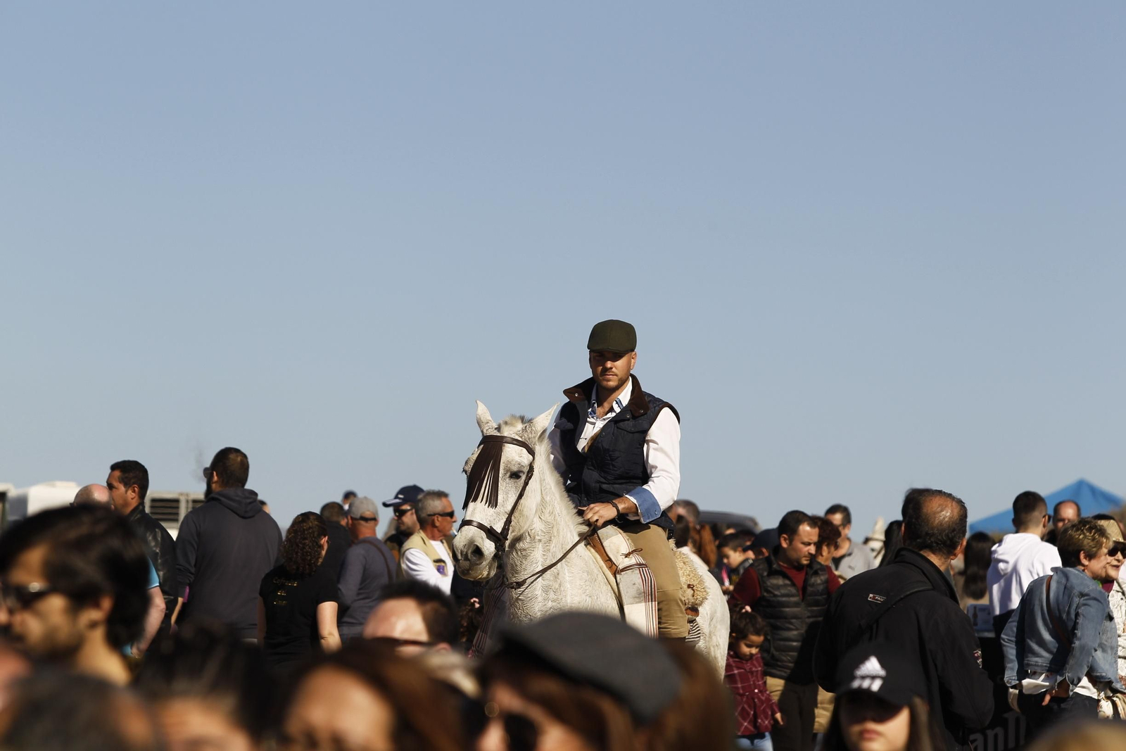 Fotogalería Romería de Torregarcía. Almería