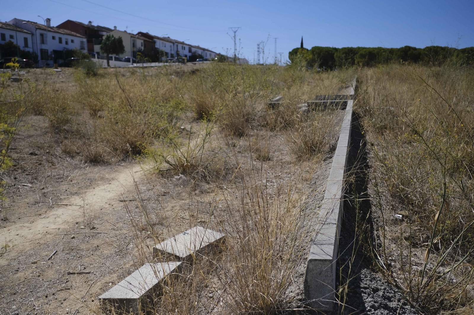 Restos de la urbanización que fue paralizada hace 14 años.