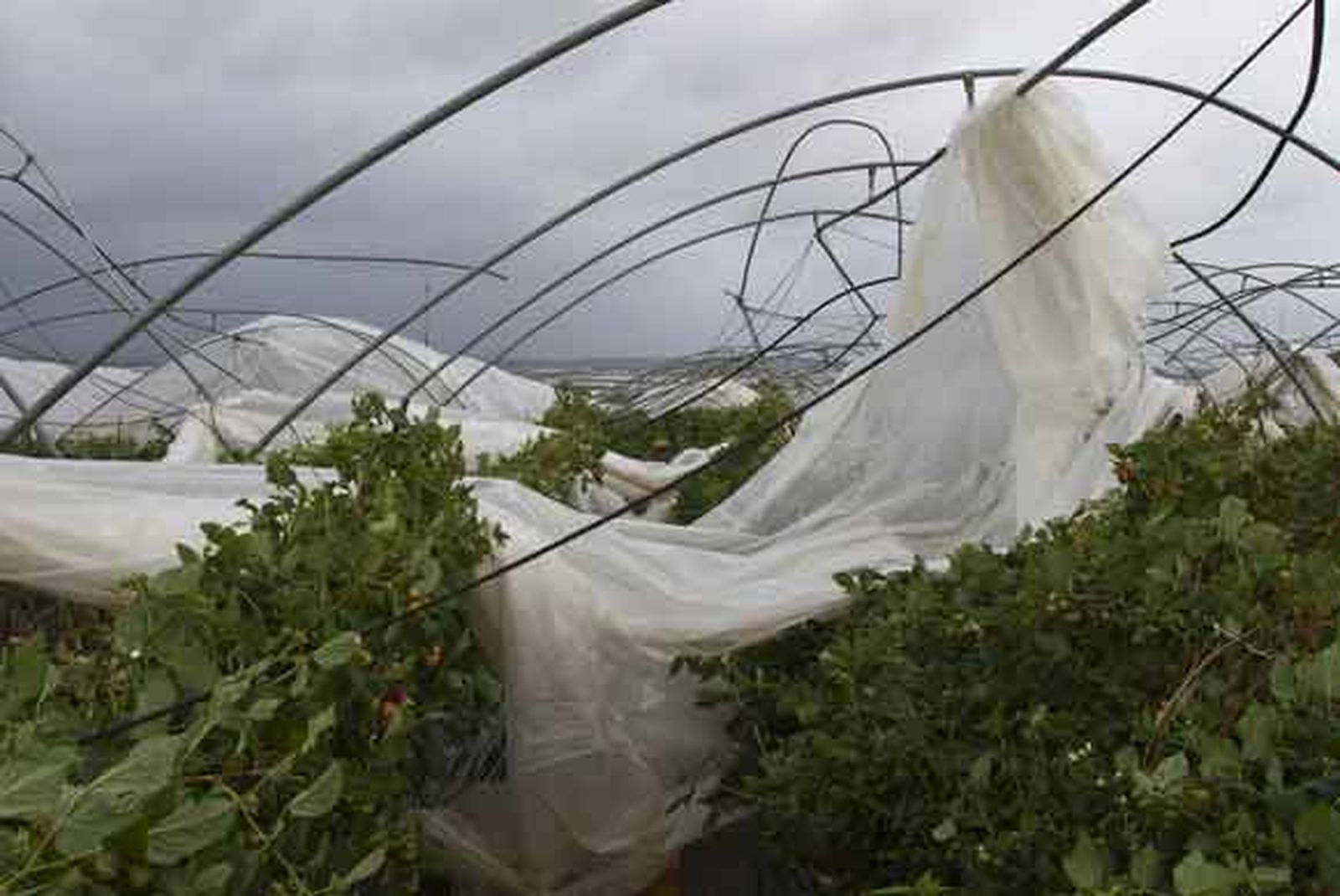 Un tornado destroza ocho fincas en Cartaya