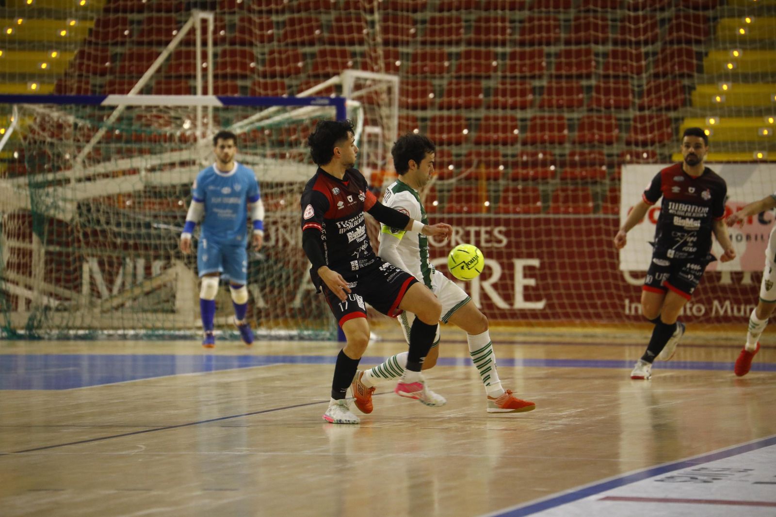 Las mejores fotos del ambiente en Vista Alegre para el Córdoba Futsal - Noia