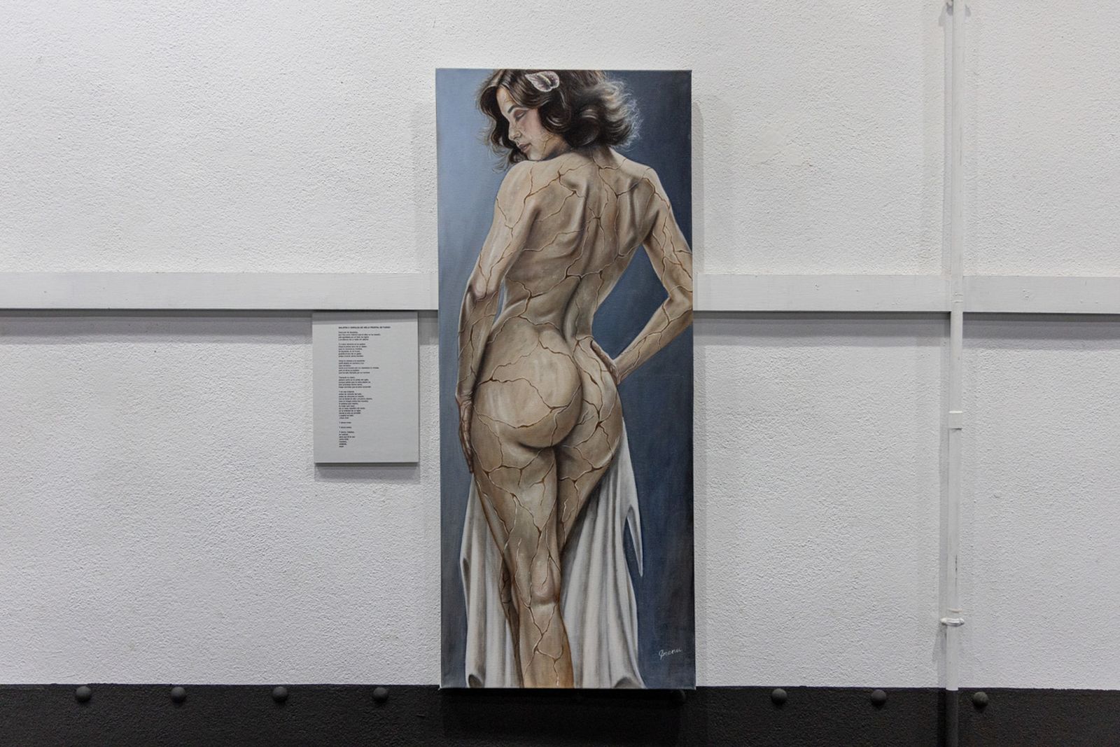 Las imágenes más impactantes de la exposición de Felipe Erena en Jaén, en imágenes