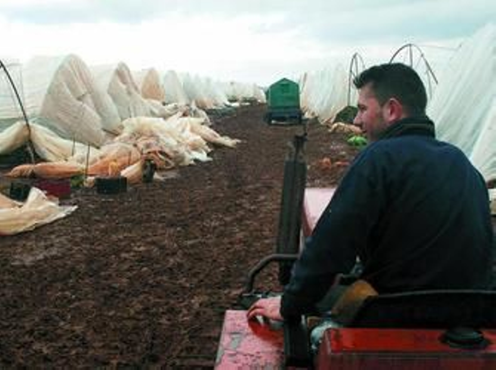 Un trabajador de uno de los invernaderos de Puerto Serrano contempla la desolación tras el temporal.