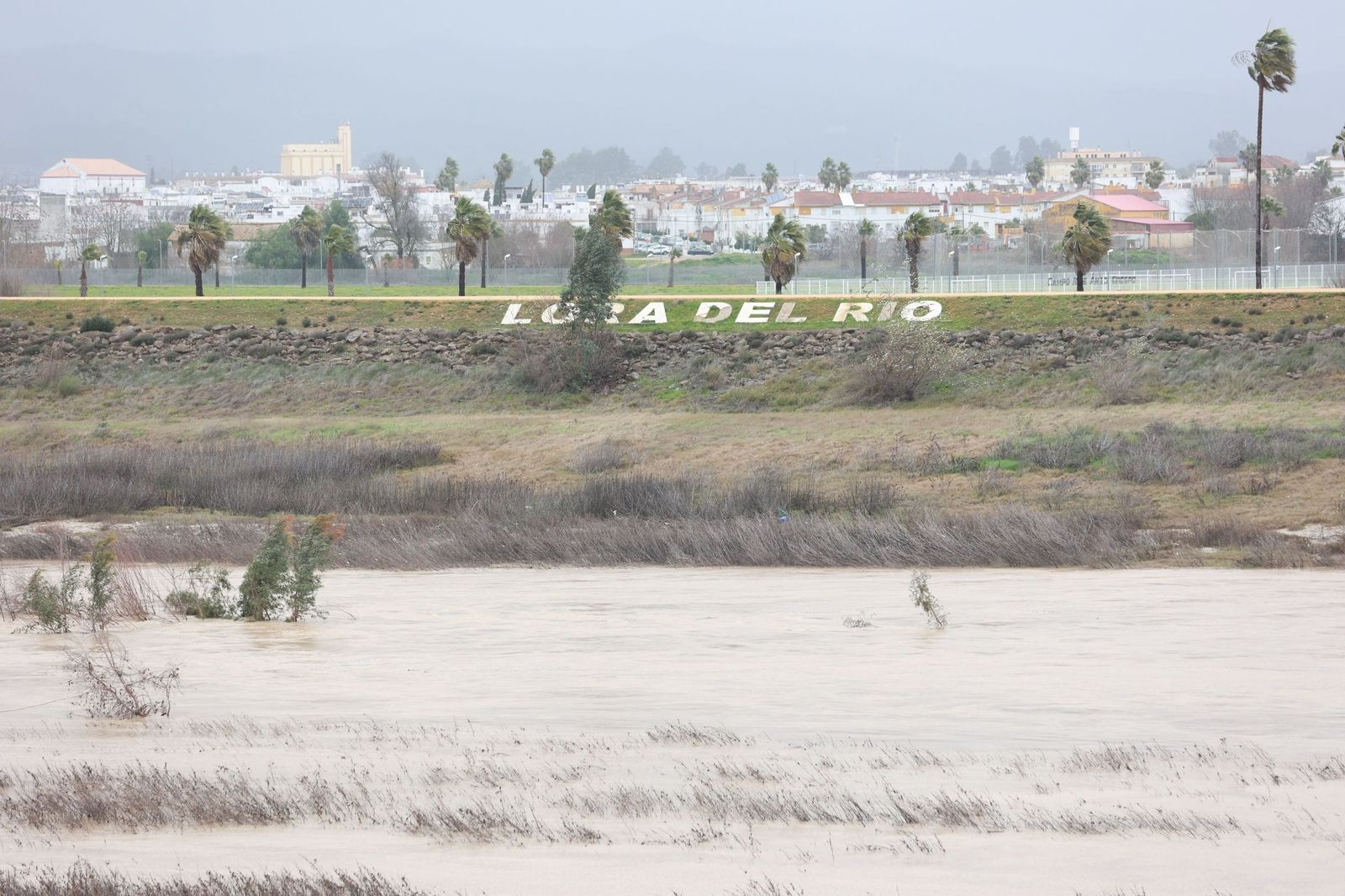 El Gualquivir a su paso por Lora del Río.