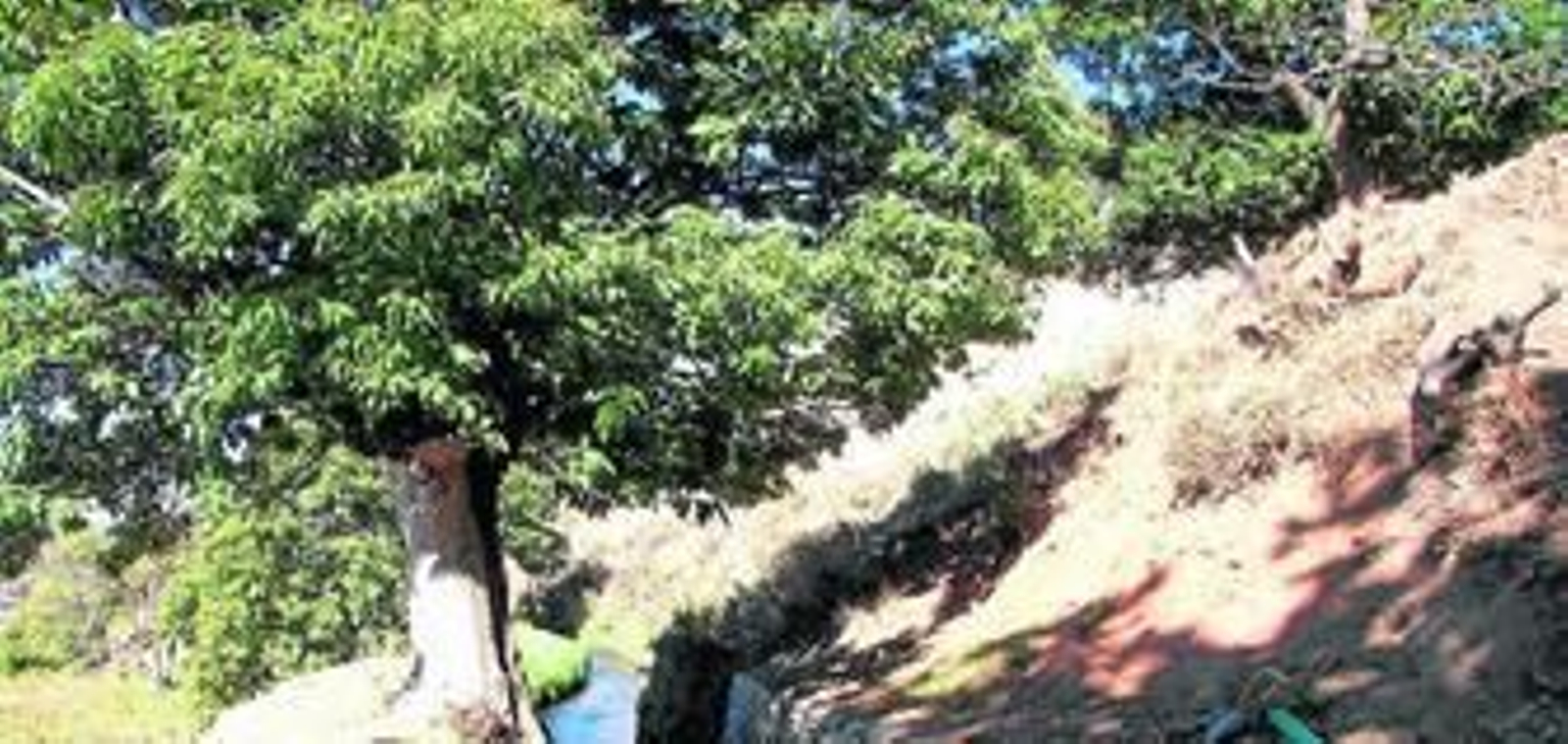 Una acequia sin entubar del entorno de la Alpujarra y Sierra Nevada.