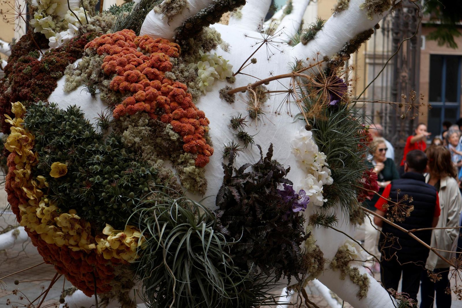 Las últimas horas para visitar las instalaciones de Flora en Córdoba, en imágenes