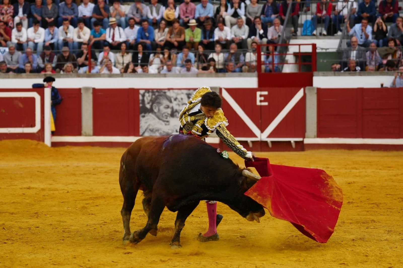 La corrida triunfal de Castella, Manzanares y Roca Rey en Pozoblanco, en imágenes