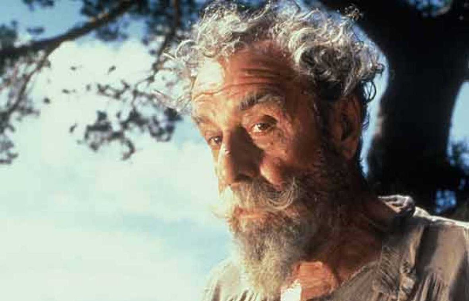 Como Don Quijote en la serie de televisión (1992) de Manuel Gutiérrez Aragón.