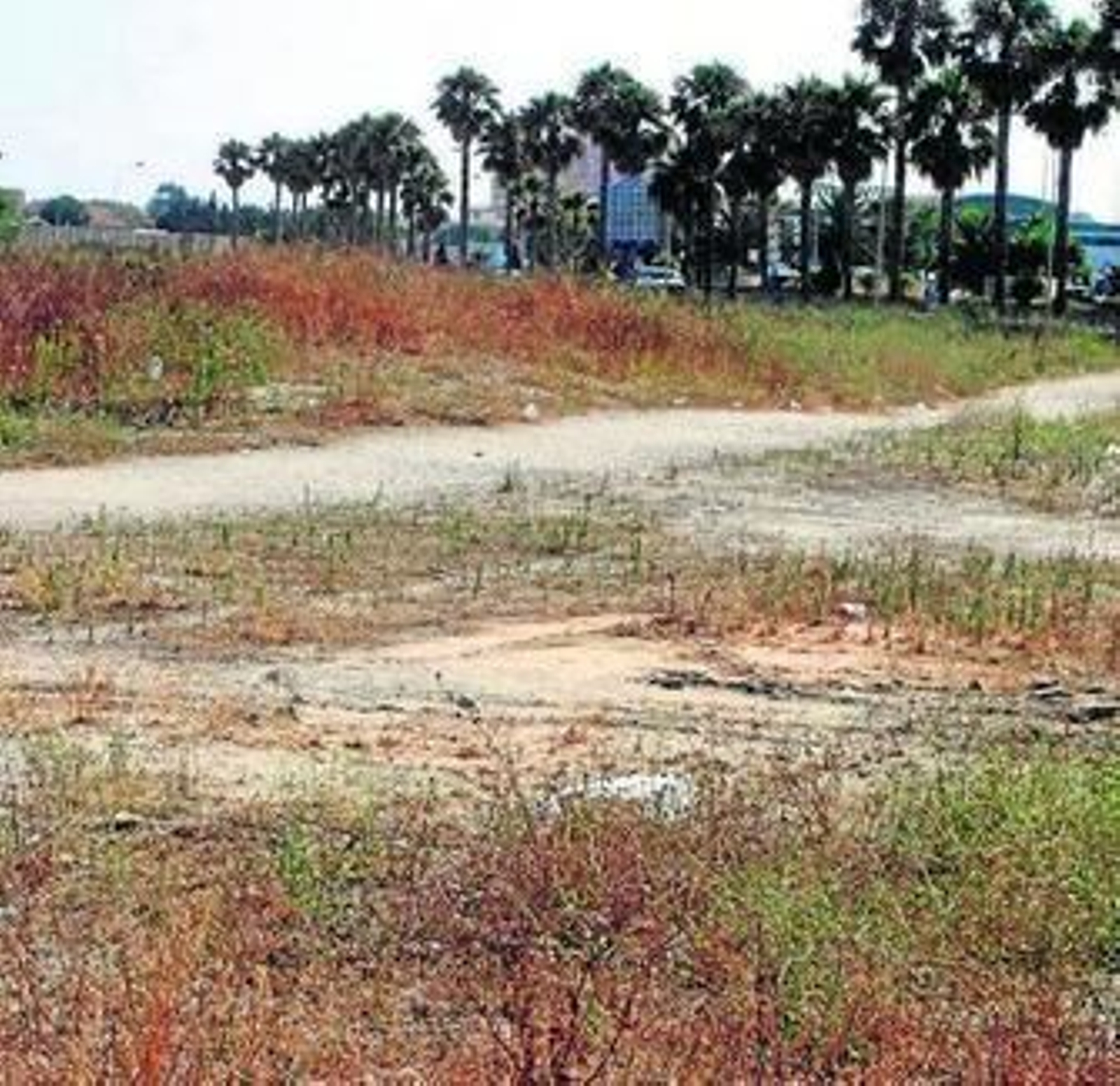 Terrenos que el Ayuntamiento vendió a Roseworld en 2005.