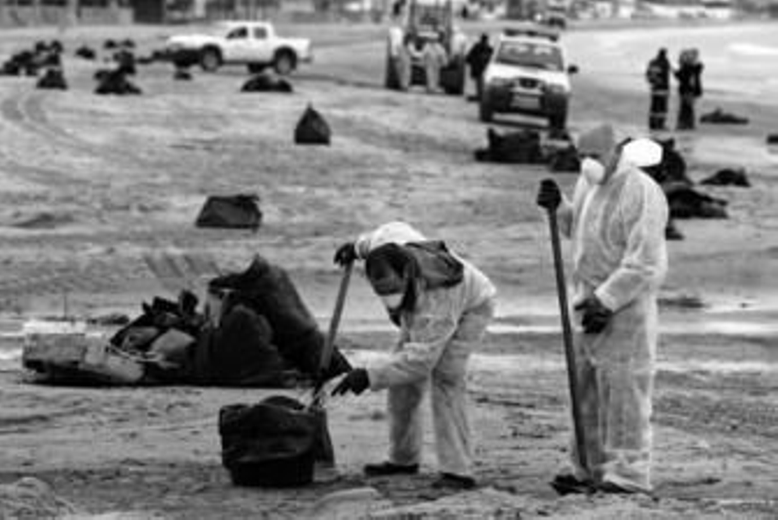 Miembros de los equipos de limpieza recogen residuos procedentes del chatarrero en la playa de El Rinconcillo, ayer, en Algeciras.