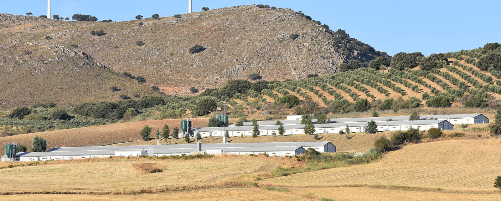 Granja de Procavi situada en Cañete la Real (Málaga).