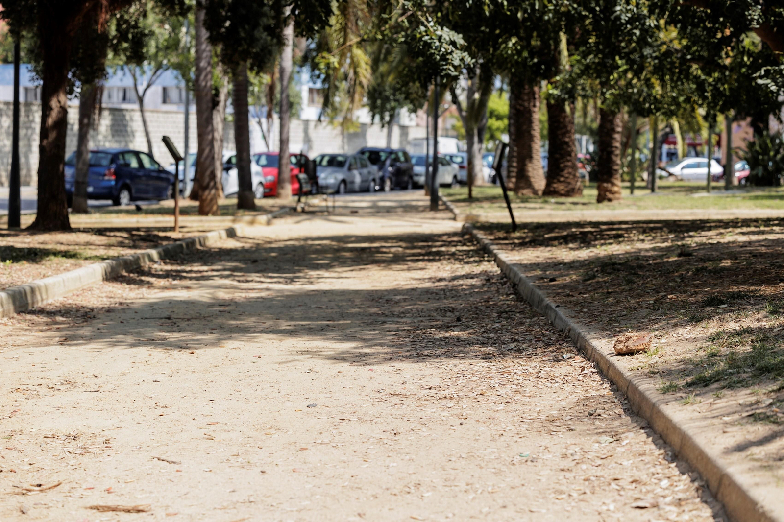 Las zonas verdes menos verdes de la ciudad de Cádiz