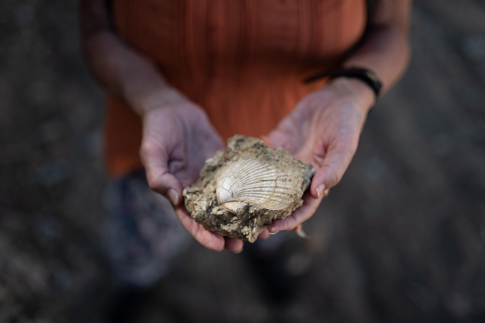 Imágenes del viernes 6 de agosto en Huelva