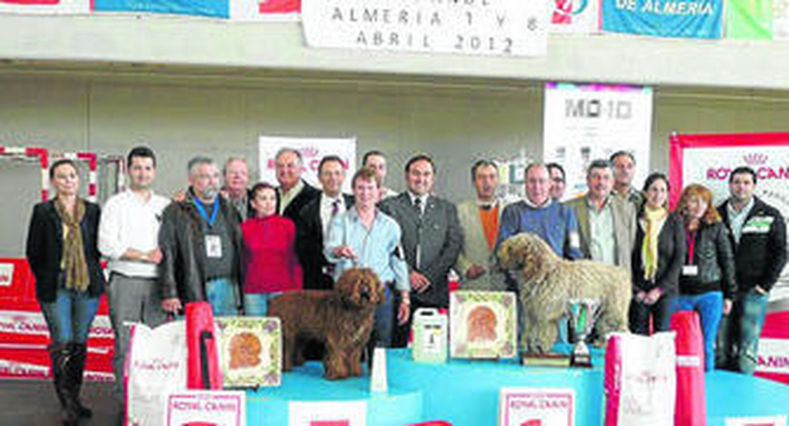 Dedicación y esfuerzo para criar a un perro campeón