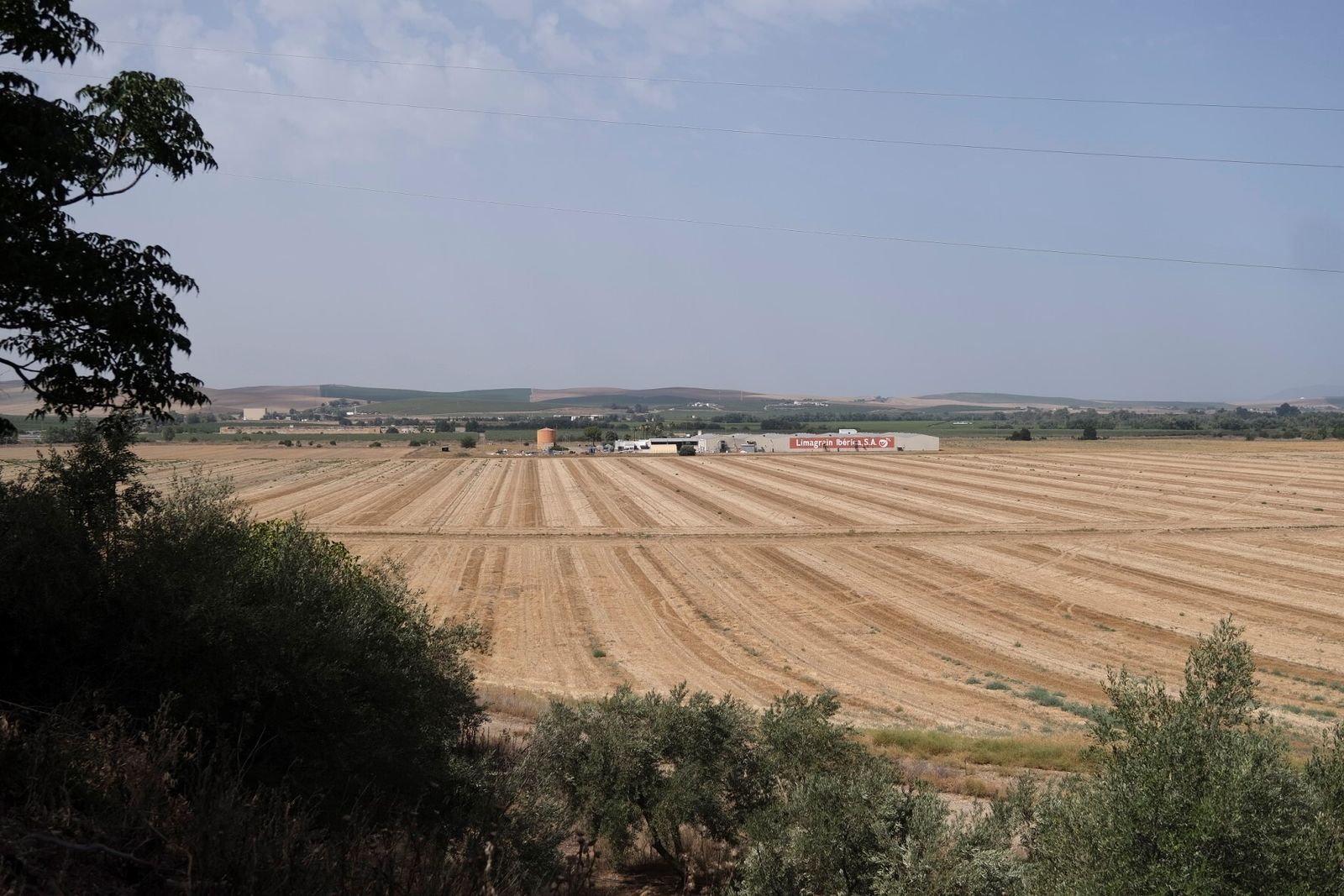 Terrenos de La Rinconada.