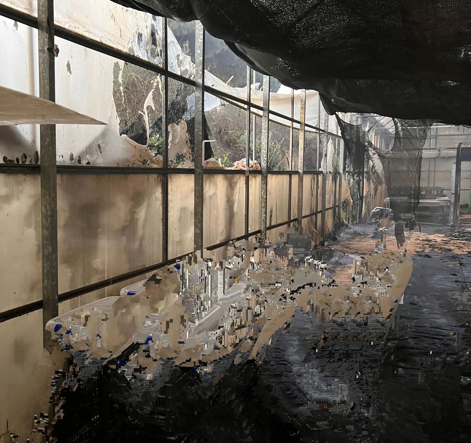 Estado en que ha quedado el invernadero afectado por las llamas