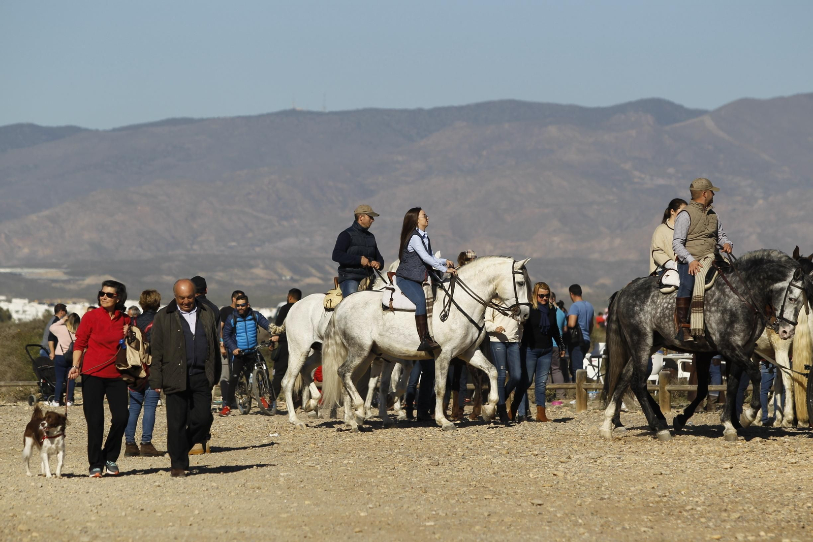Fotogalería Romería de Torregarcía. Almería