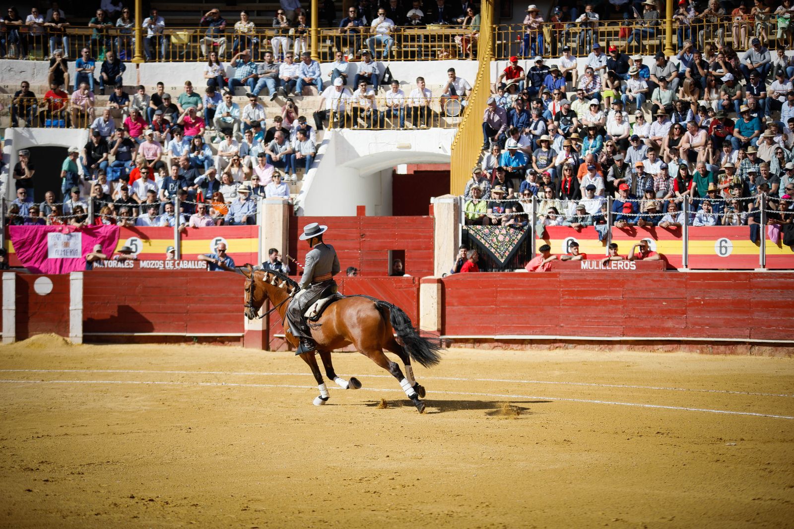 Imágenes del festival mixto lucha contra el cáncer