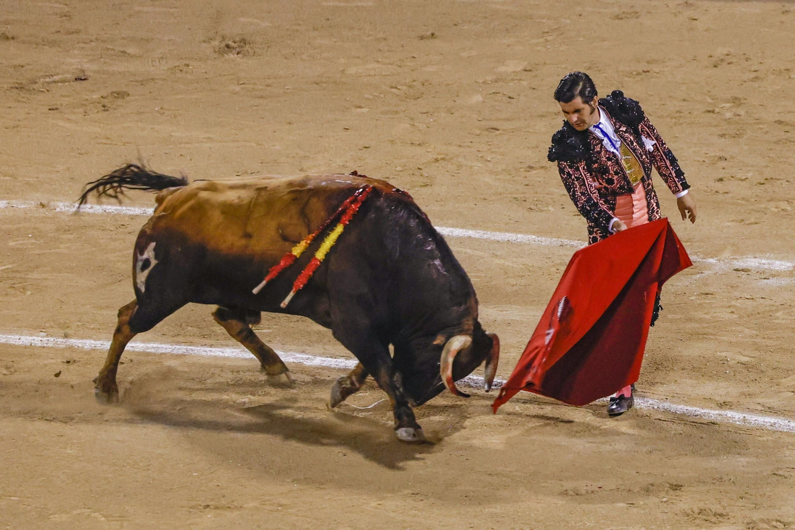 Protestas contra los festejos taurinos en Palma.