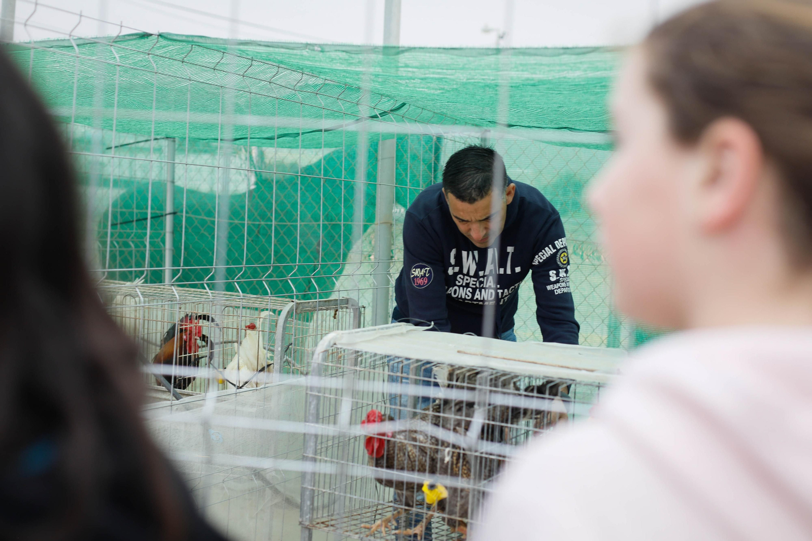 Galería de la Feria  de ganado en Tarambana