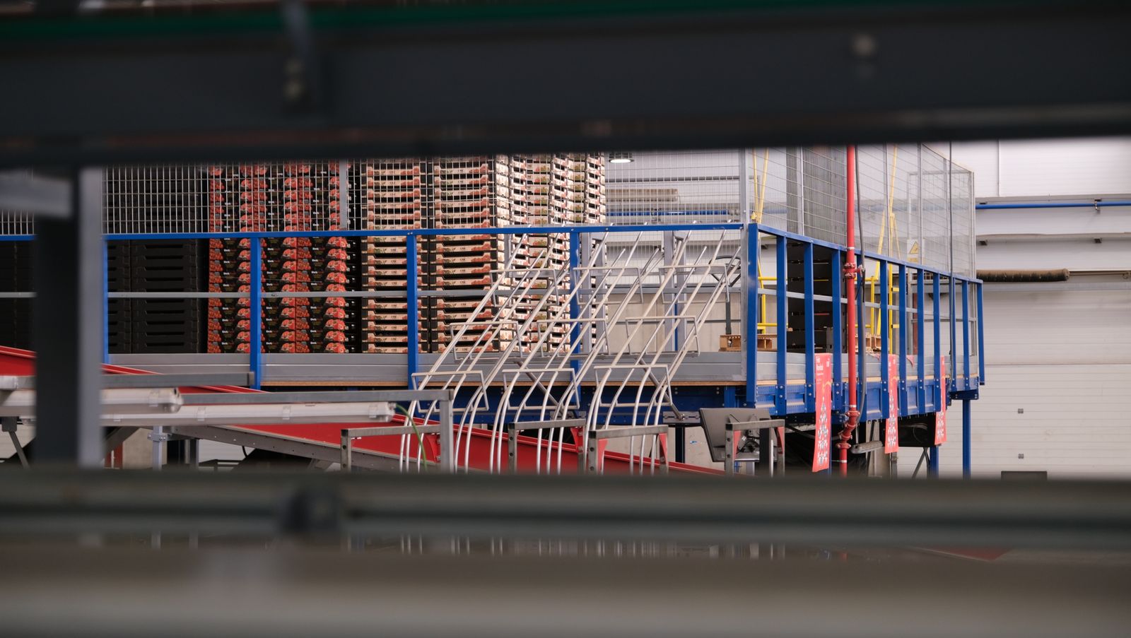 La IA llega a CASI, en imágenes