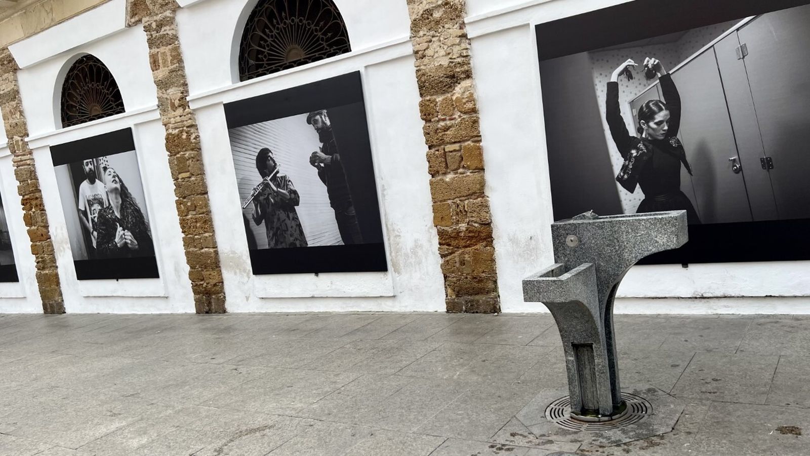 Algunas de las imágenes expuestas.