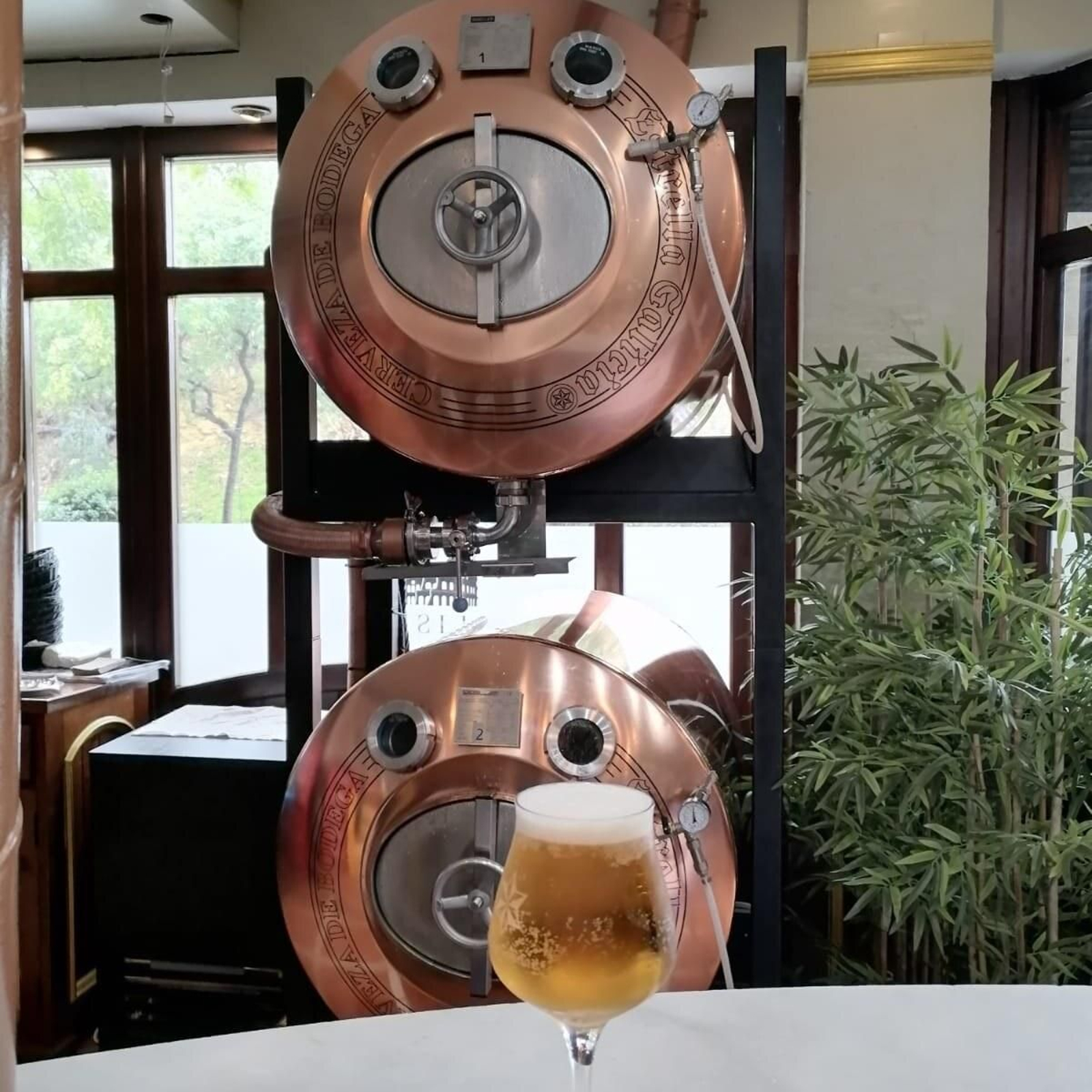 Cerveza de bodega Estrella Galicia