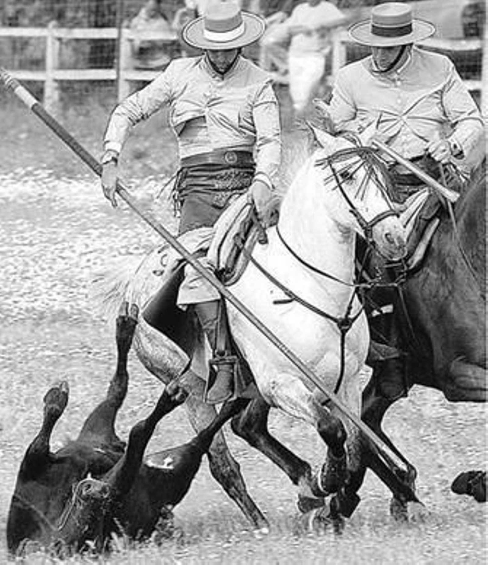 Un ejercicio de 'echada', durante un pasado campeonato de acoso y derribo en el Cortijo de Vicos.