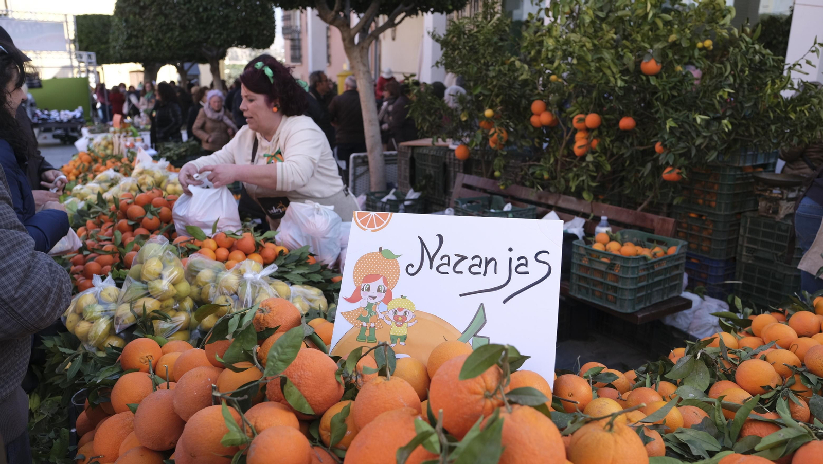 Imágenes del Día de la Naranja, en Gádor