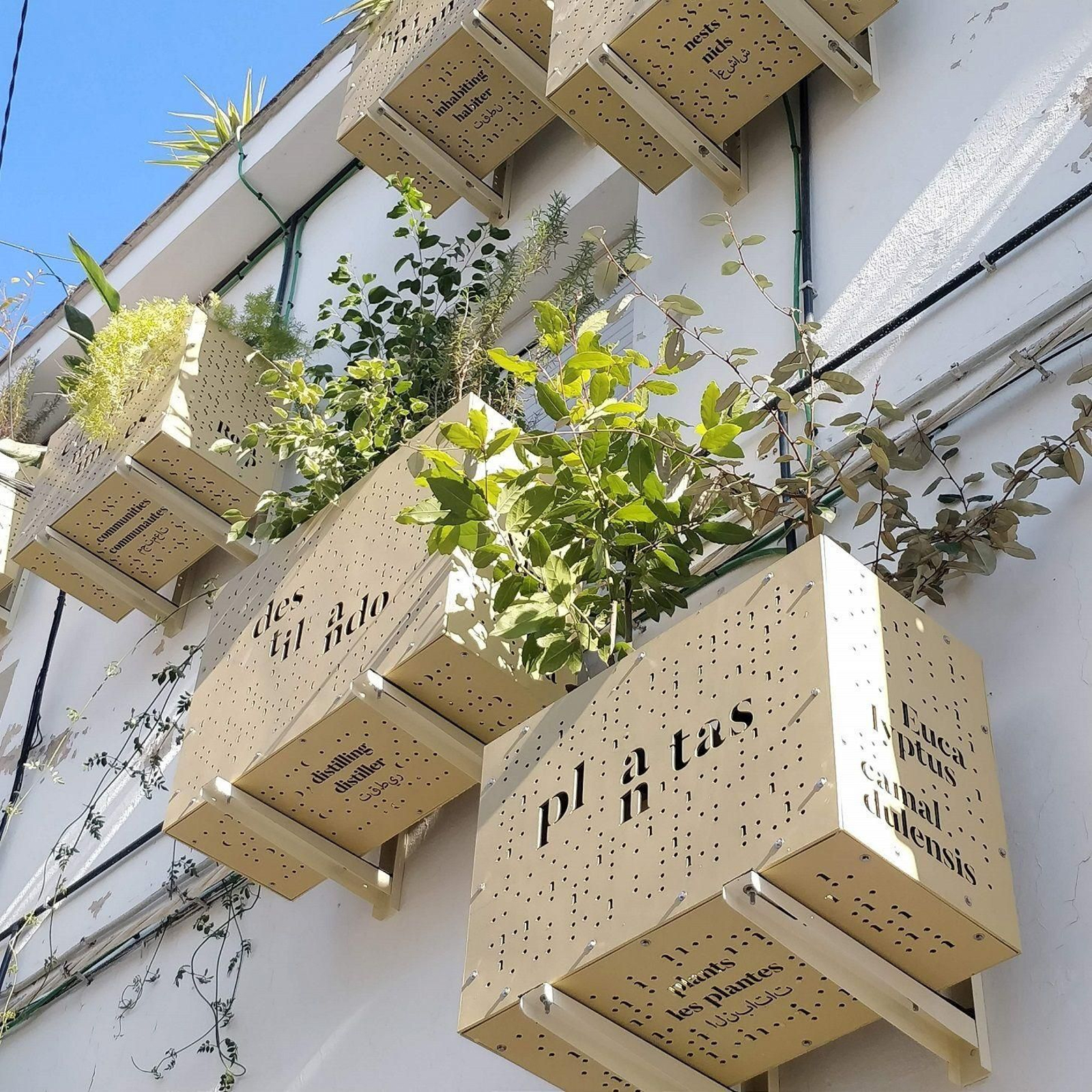 Renaturalización en Tres Barrios-Amate con el agua de los aires acondicionados de los balcones.