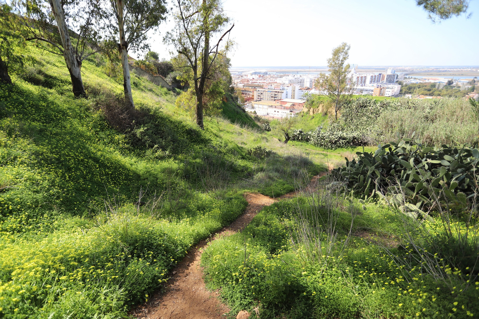 Imágenes del mirador del Conquero, de los cabezos y Fuentevieja