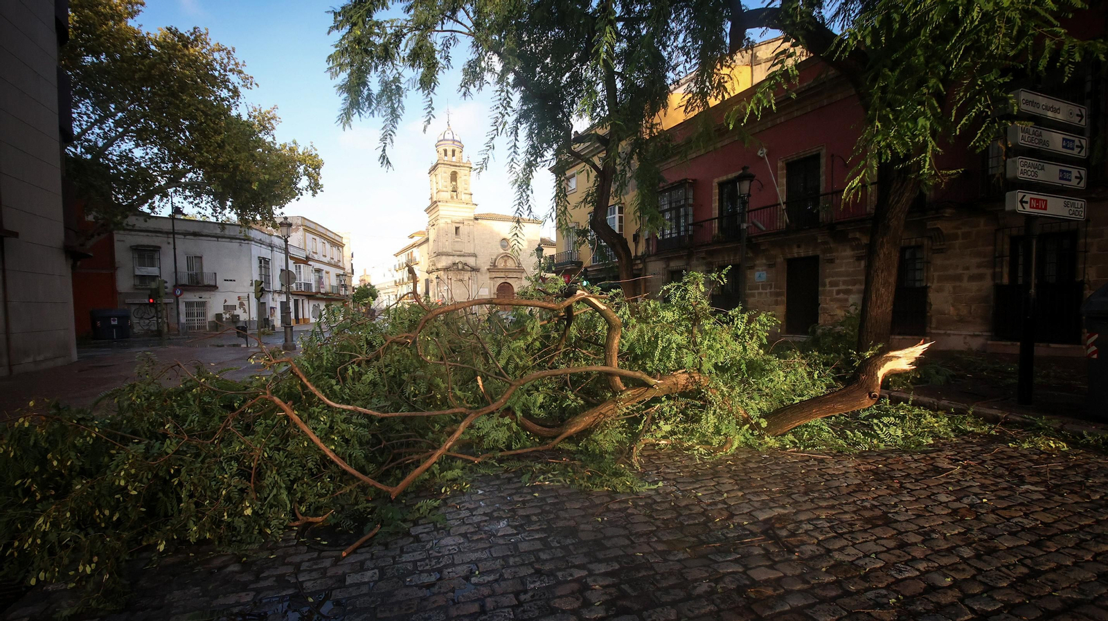 Caos en Jerez por los destrozos del temporal de viento