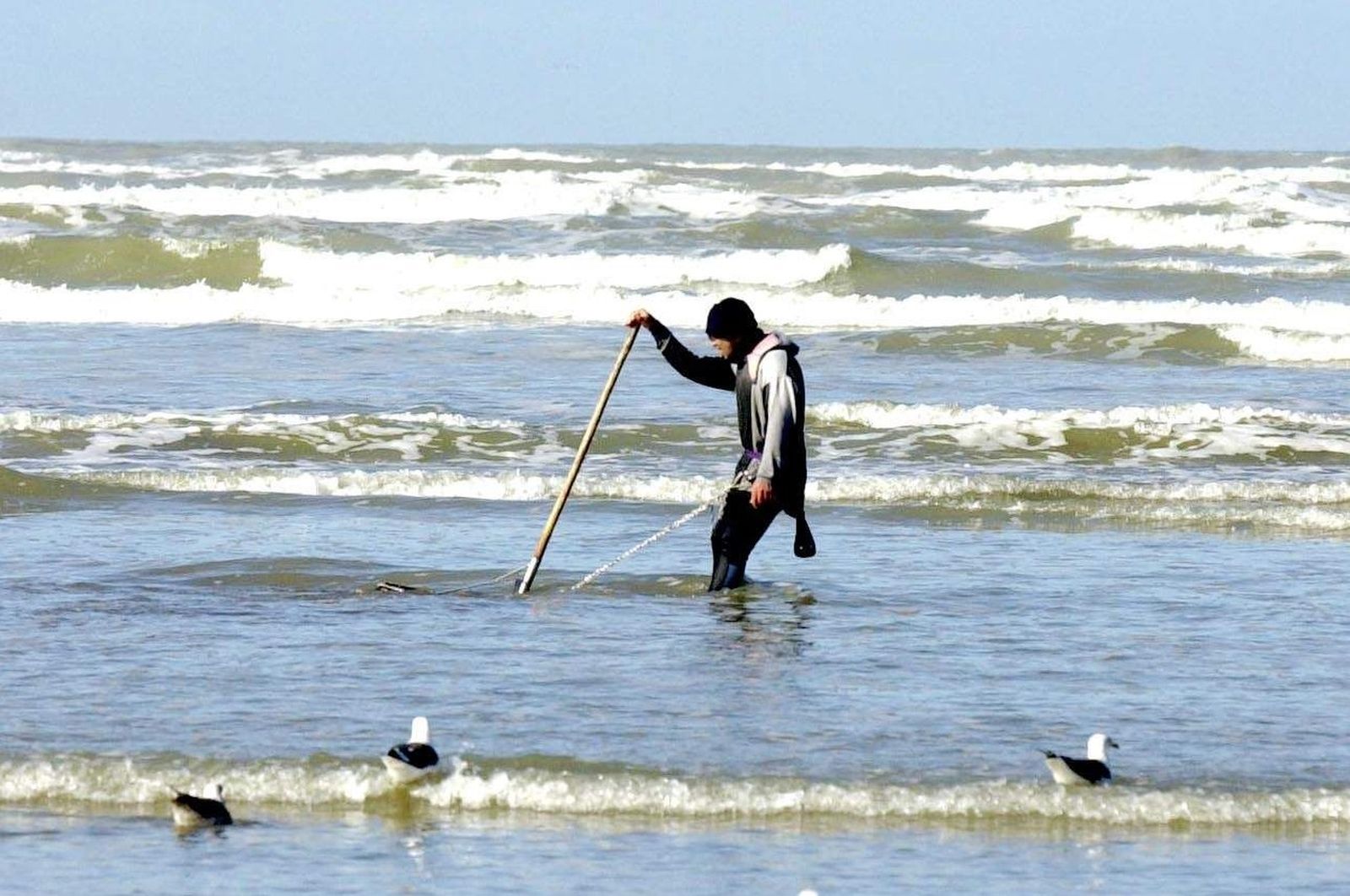 Un mariscador a pie en una zona de Doñana.