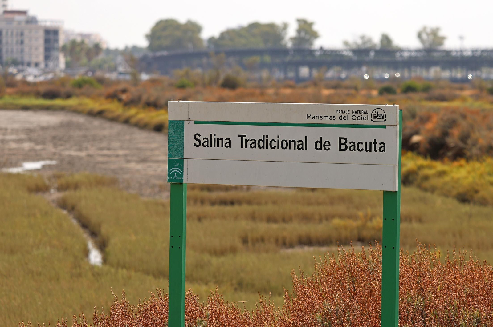 Imágenes de Marismas del Odiel, un Paraje Natural en la confluencia de las desembocaduras de los ríos Tinto y Odiel