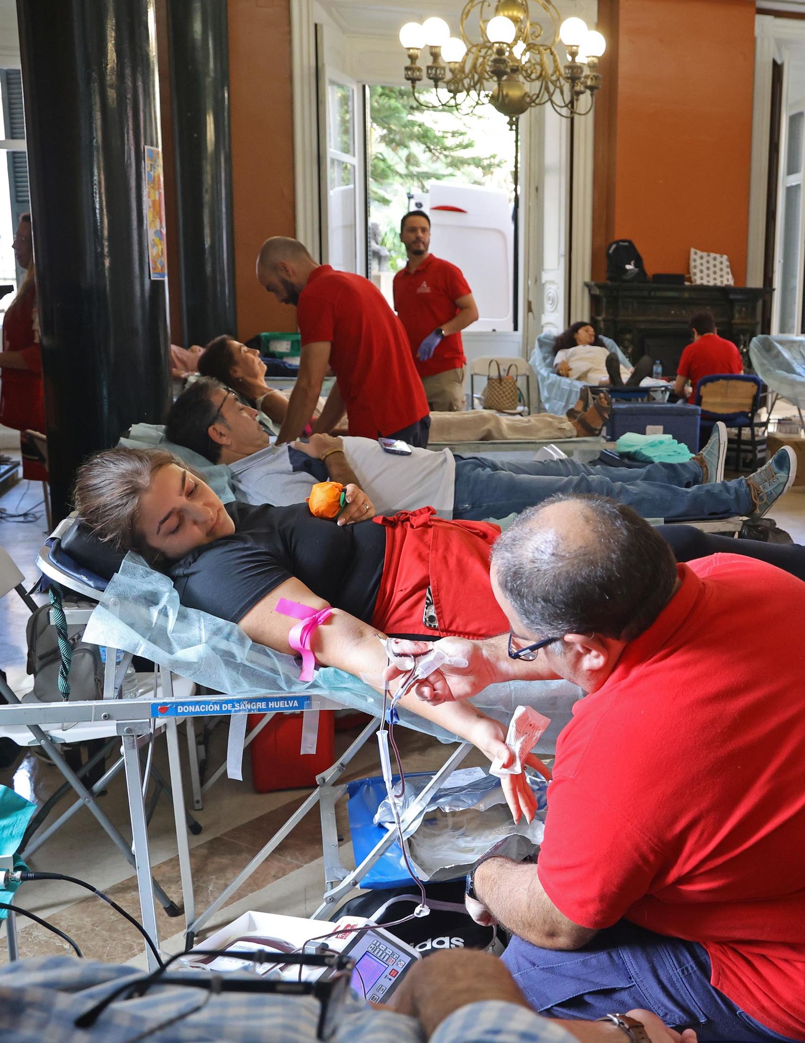 Imágenes de la macrocolecta de sangre y plasma en la Casa Colón