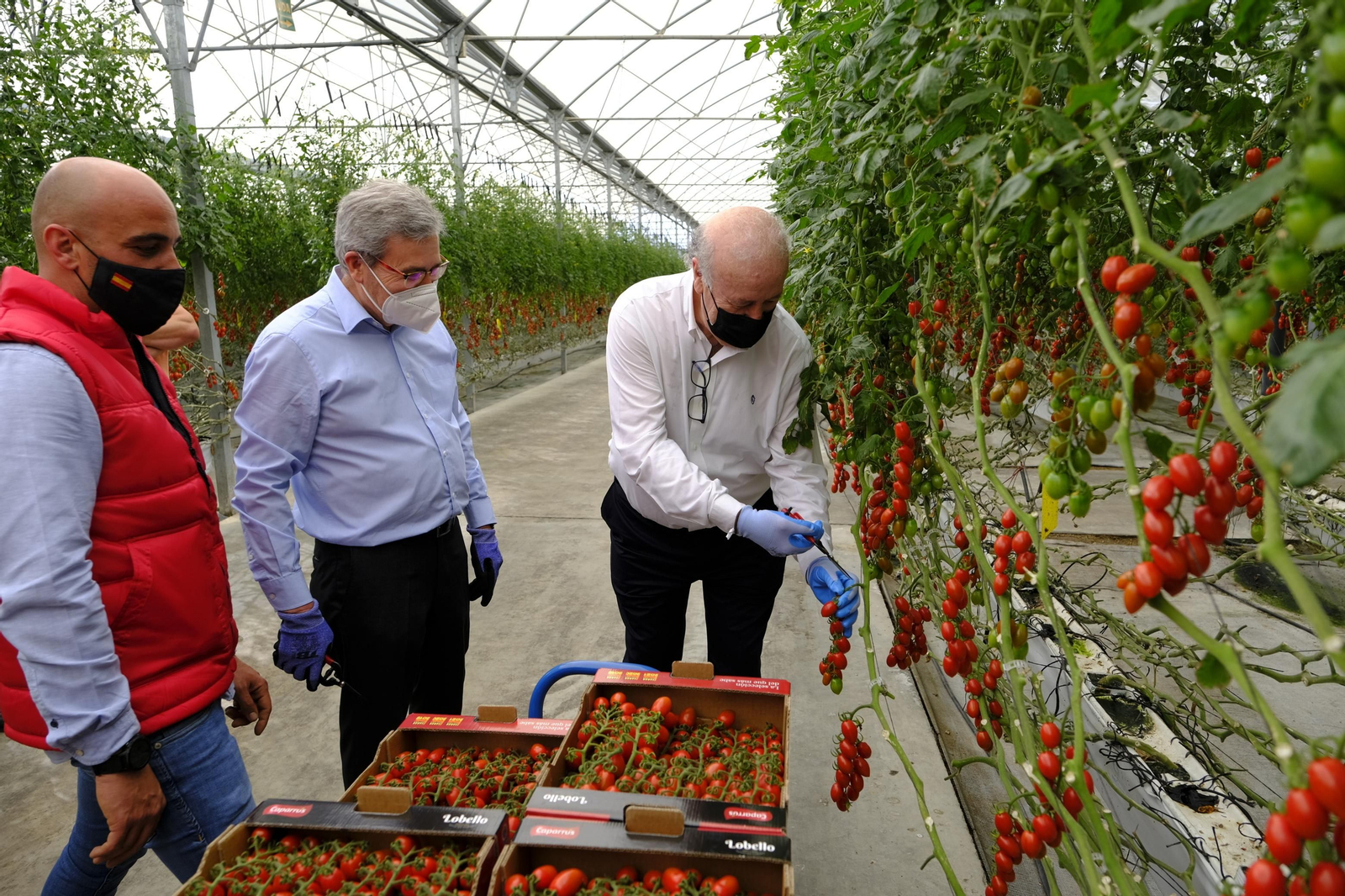 Fotogalería de la visita de Vicente del Bosque a Grupo Caparrós.