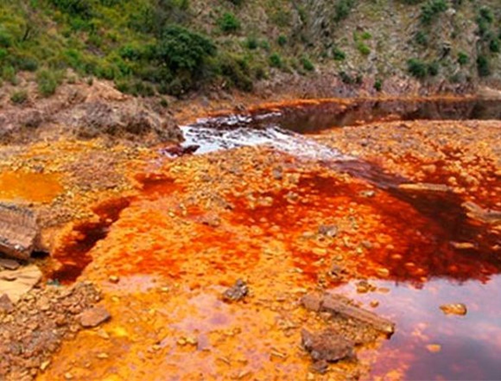 Bacterias del río Tinto podrían sobrevivir en Marte