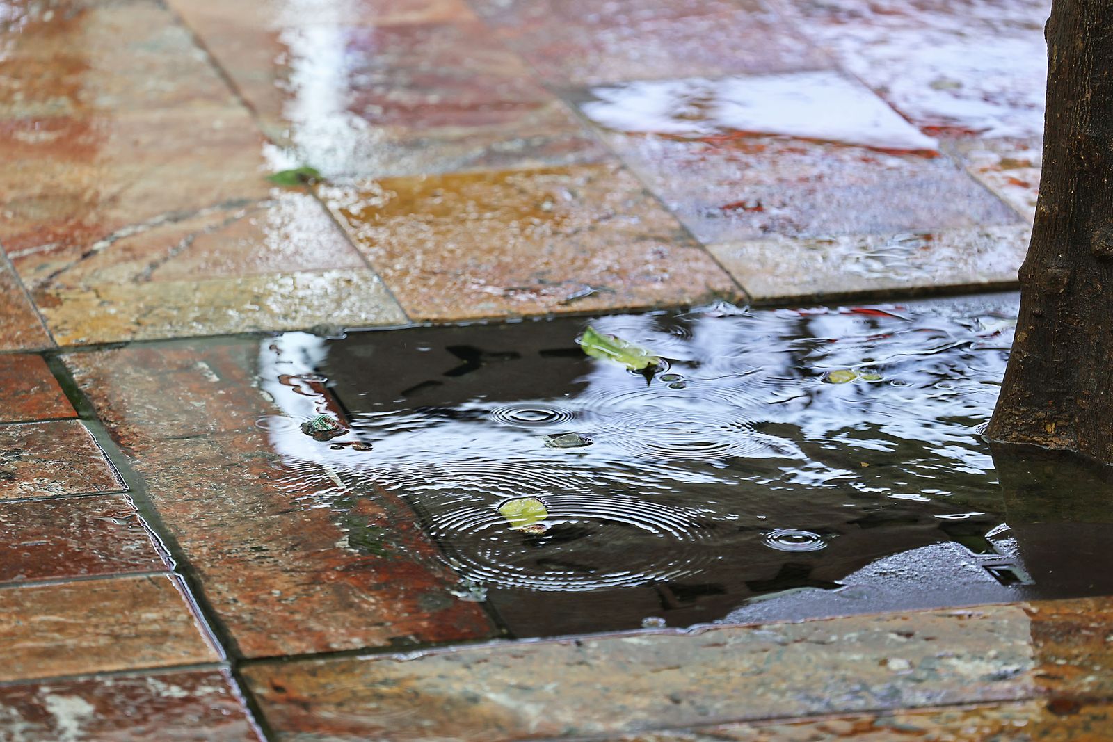 Intensas lluvias y calles desiertas en Huelva por la borrasca Marta