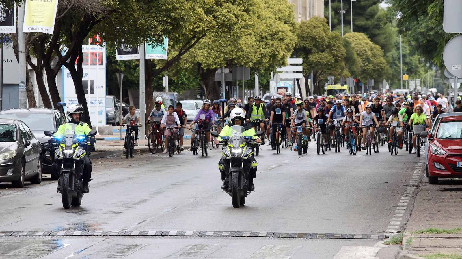 Búscate en la ruta ciclista por Jerez de 'bici amistad'