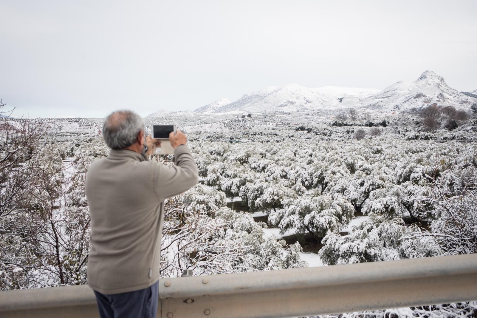 La nevada de este 10 de enero en Güevéjar