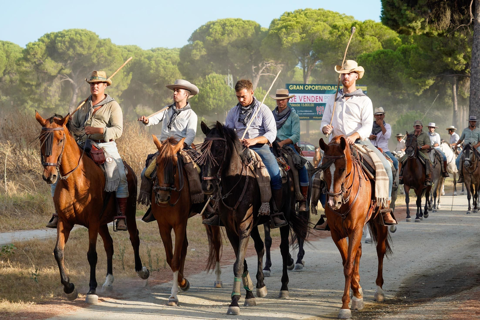 Las imágenes más destacas de la recogida de las yeguas en Hinojos