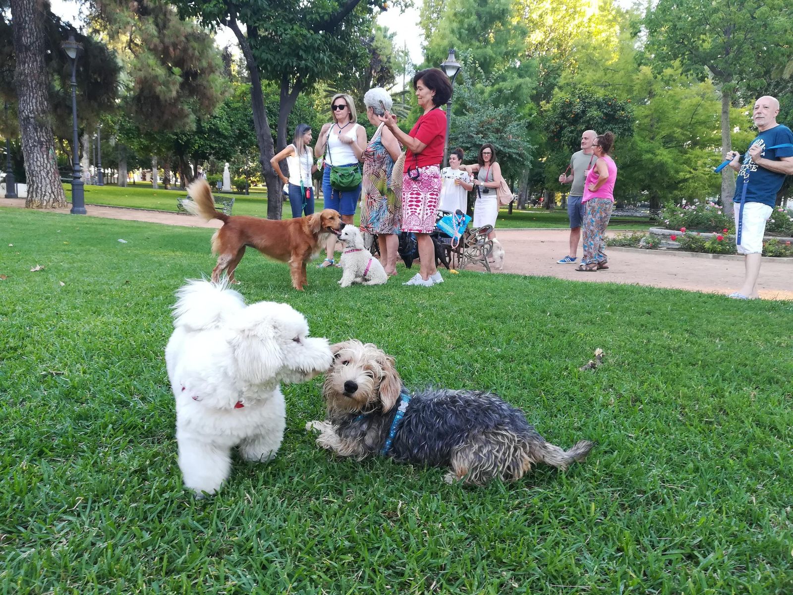 Un grupo de vecinos de Córdoba con sus mascotas en un parque de la ciudad