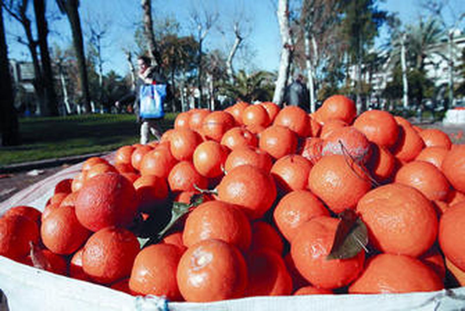Combustible y pienso de frutaCombustible y pienso de fruta