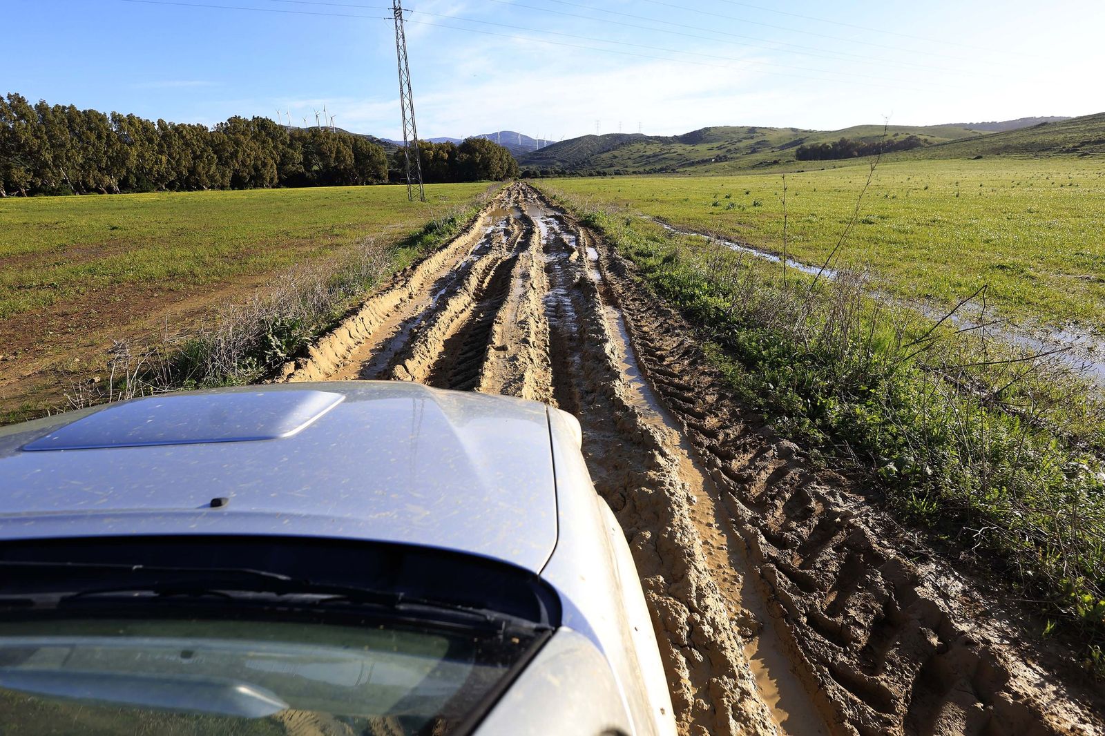 Las fotografías de la ganadería de Luis Benítez en Tarifa