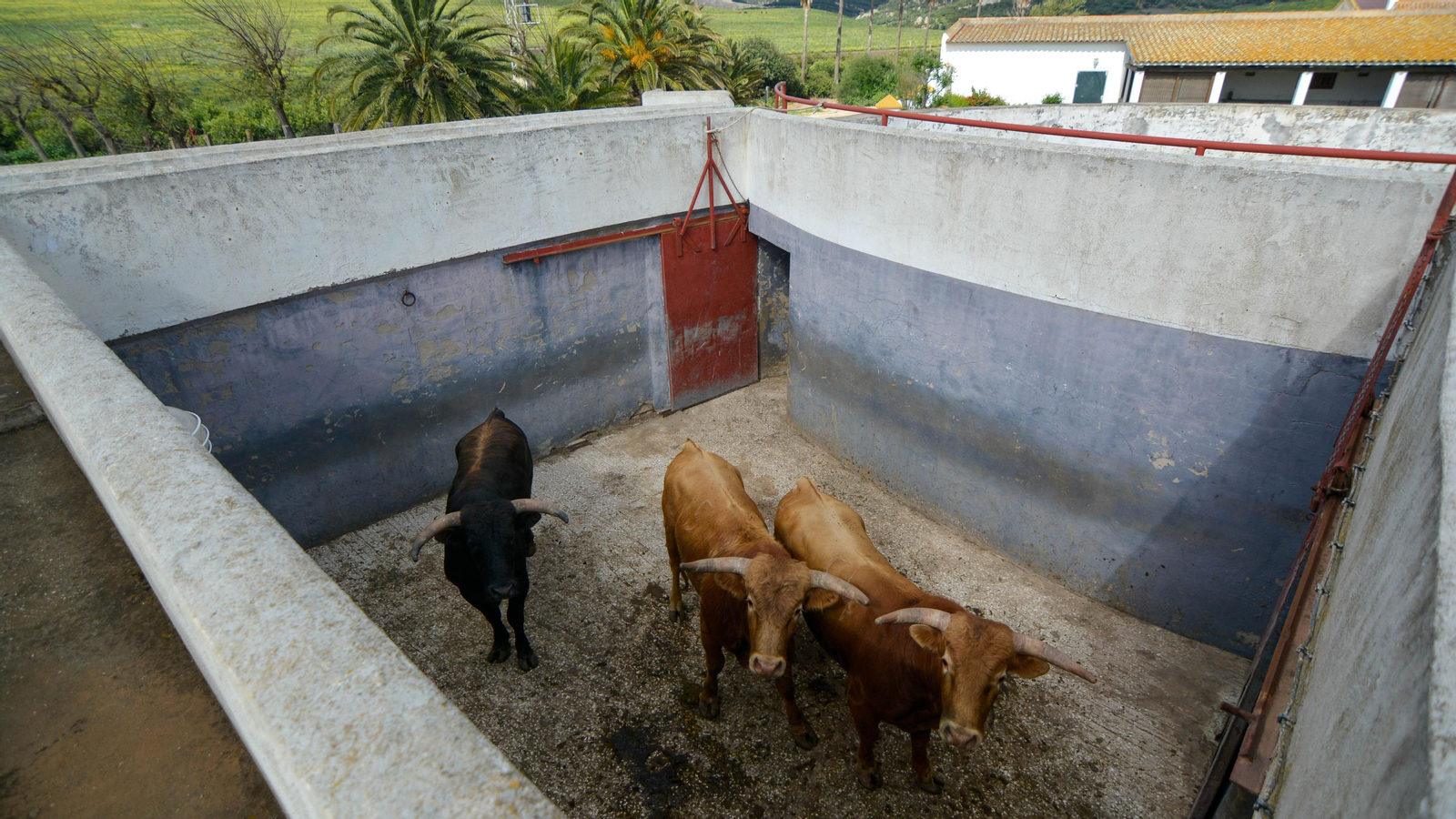 Finca La Palmosilla y la entrevista a Javier Nuñez
