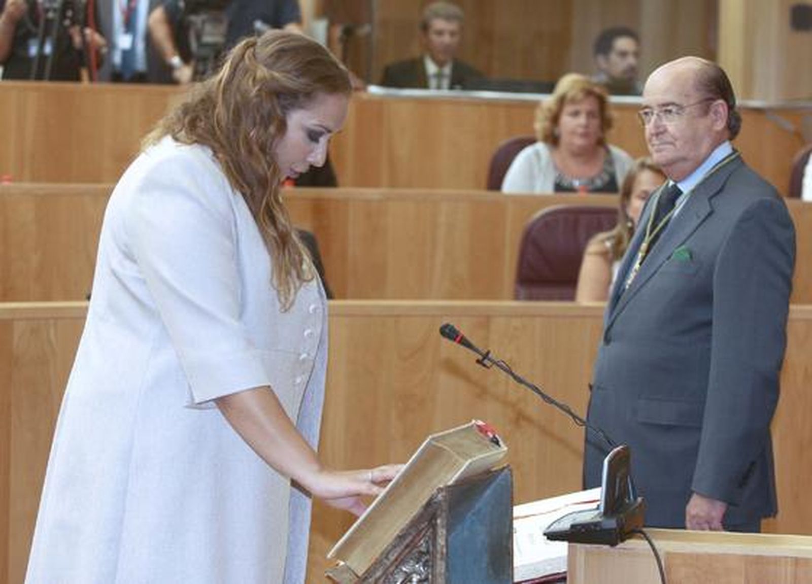 Sebastián Pérez es investido como nuevo presidente de la Diputación de Granada


Foto: Mar?de la Cruz