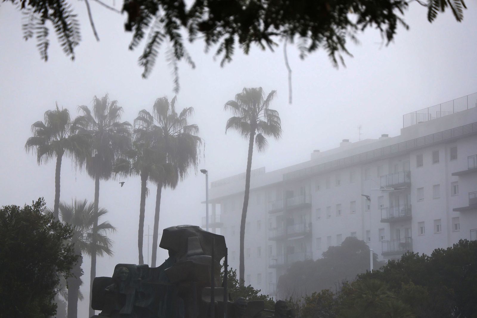 Imágenes de la espesa niebla durante la mañana en Huelva