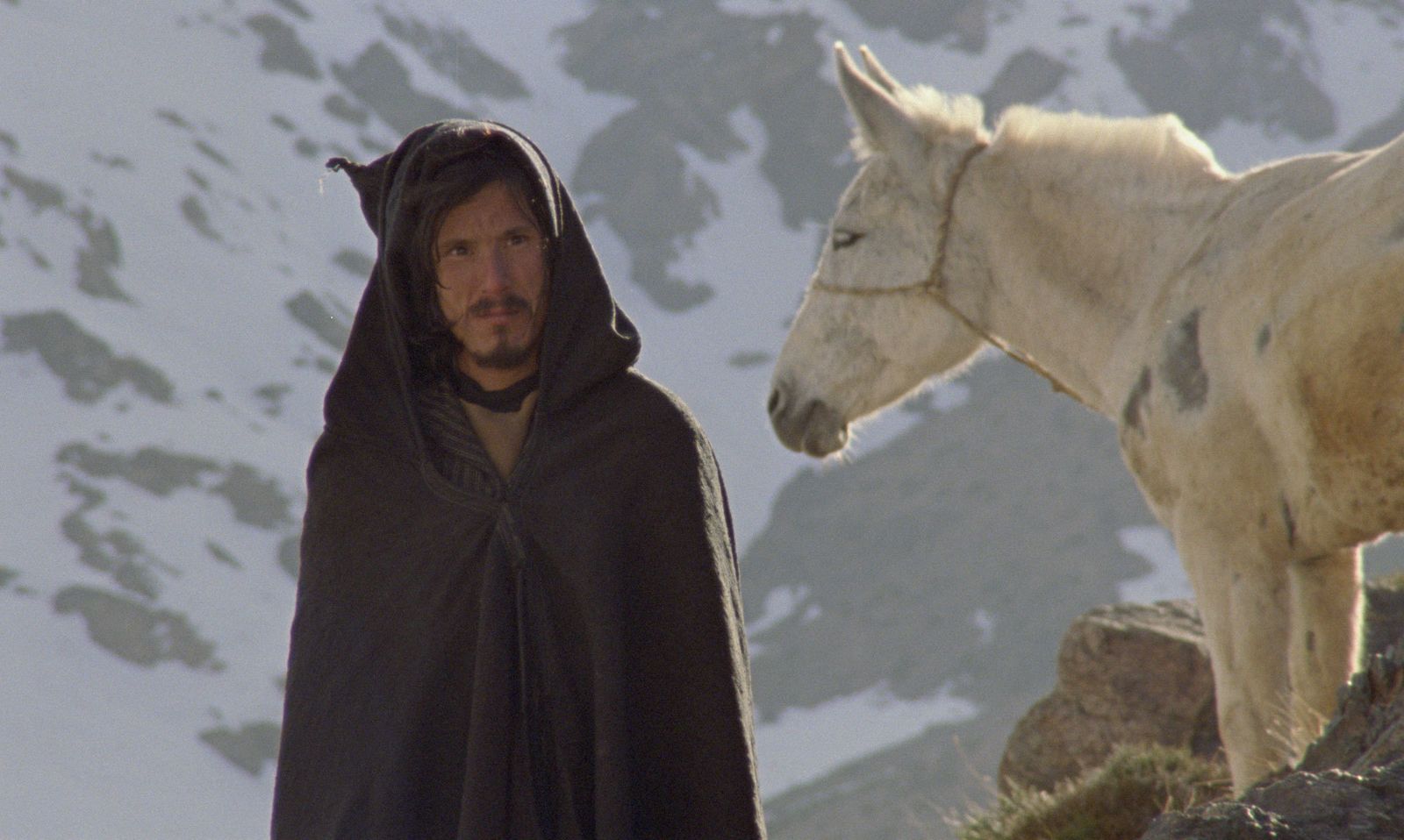 Shakib (Shakib Ben Omar), el iluminado necesario de 'Mimosas'.