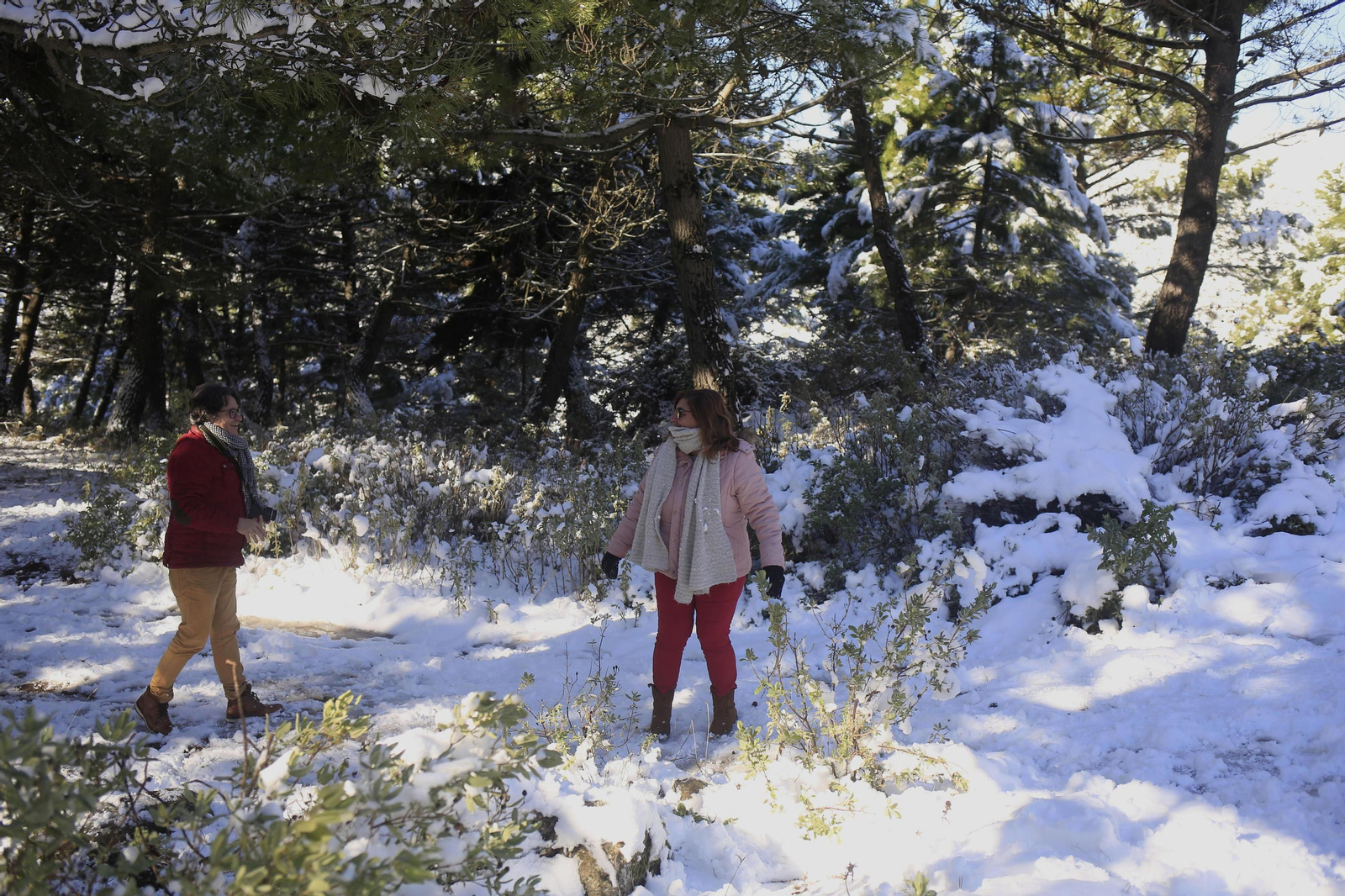 Fotos: Ronda se convierte en una postal nevada