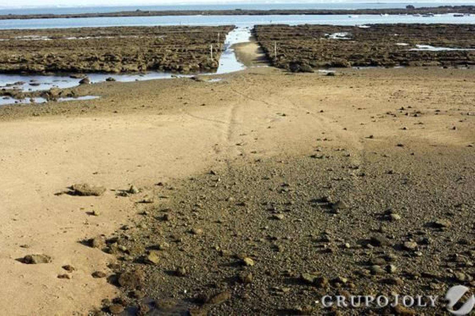 Imágenes del momento de una espectacular bajamar en las playas de Cádiz.  Foto: Jesus Marin